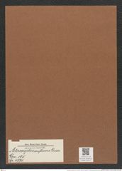 Actinocyclus confluens Grun. (de-Toni-Nr.: Genus 195, Species 4771) Zeichnungen Sammlung Grunow Mappe 04637 (Herbarium_W_Grunow_drawings_Folder_04637)